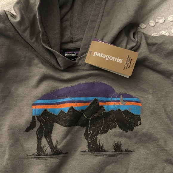 NWT Patagonia Kids Lightweight Graphic Hoody Sweatshirt - Picture 2 of 3
